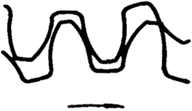 �X݆�����g�Zһ�㶨�x