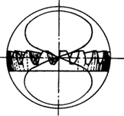 �X݆�����g�Z�F�X݆�����p�����X݆�����X݆��