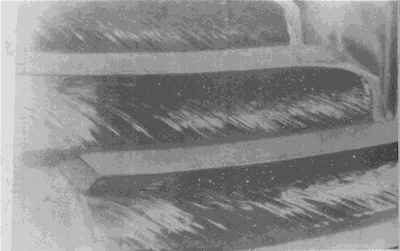 ����׃��