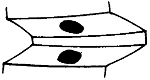 �F�X݆�͜��p�����X݆�g�Z�ӹ�������݆�X���|���z���ԇ�