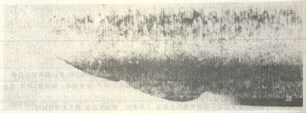 ʧЧ����ʽ�c�Г�